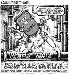 Image result for fluoride toxic waste 3rd world countries